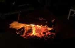 Cobb Blazaball Per Stuk -Barbecue-Uitrusting Cobb Vuurstarter Blazaball 5