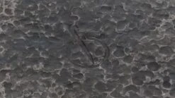 Forged Pan Met 2 Handvatten 28 Cm -Barbecue-Uitrusting Forged pan met 2 handvatten 28 cm detail 2