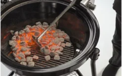 Napoleon Blackstone Grillbriketten -Barbecue-Uitrusting Napoleon Blackstone Grillbriketten 10kg 2