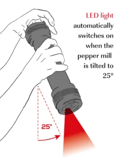 Peugeot BBQ Pepermolen 30 Cm Grafiet -Barbecue-Uitrusting Peugeot BBQ Pepermolen 30 Cm Grafiet 7