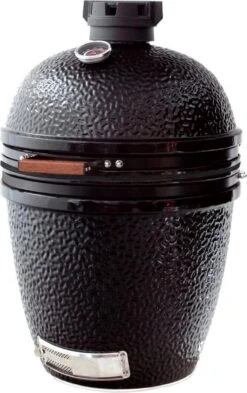 The Bastard Medium Solo