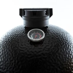 The Bastard Medium Solo -Barbecue-Uitrusting The Bastard Medium Solo 2023 4