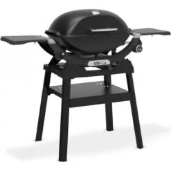 Weber Q 2200N Met Stand -Barbecue-Uitrusting Weber Q 2200N Met Stand 3