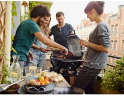 Weber Q 2400 Dark Grey - Stand -Barbecue-Uitrusting Weber Q 2400 Dark Grey Stand 6