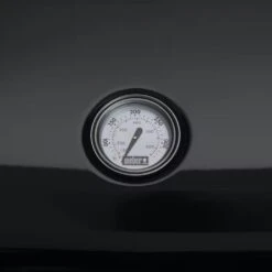 Weber Lumin Black Stand Elektrisch -Barbecue-Uitrusting Weber lumin compact with stand elektrisch 4