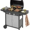Campingaz Bbq 2 Series Classic Lx Plus -Barbecue-Uitrusting campingaz 2 series classic lx plus gasbarbecue 3